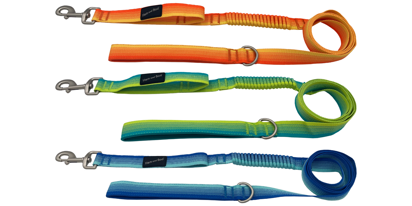 Pro Lite Shock Absorbing Bungee Dog Lead by Hem & Boo