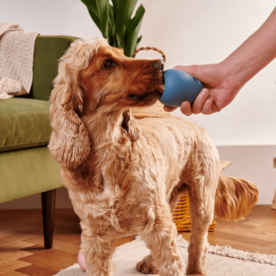 Beco Boredom Buster 🦴 Natural Rubber Treat Dispensing Enrichment Toy for Dogs