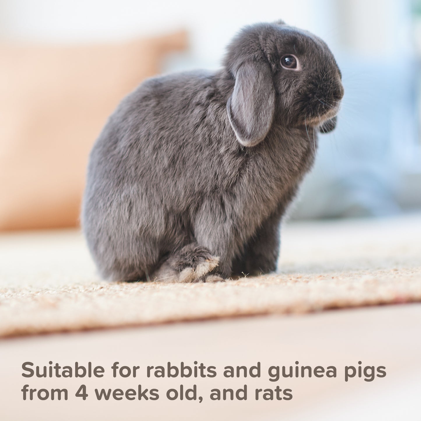 Beaphar Anti-Mange Spray for Rabbits, Guinea Pigs & Rats - 75ml