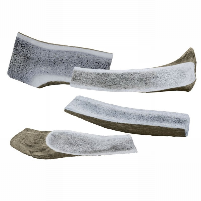 Stagbar Split Deer Antler Bone Natural Dog Chew