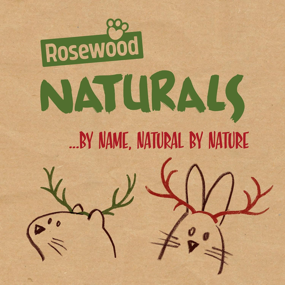 Rosewood Naturals Festive Cookies Forage Tray | Small Pet Christmas Treats