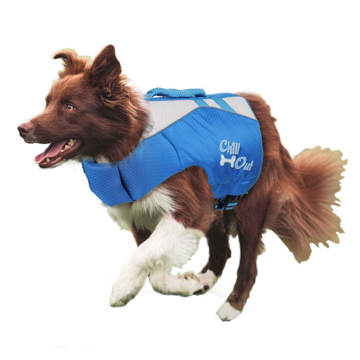 Chill Out | Dog Life Jacket for Safe Swimming