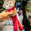 Rosewood Max Monkey | Festive Dog Toy