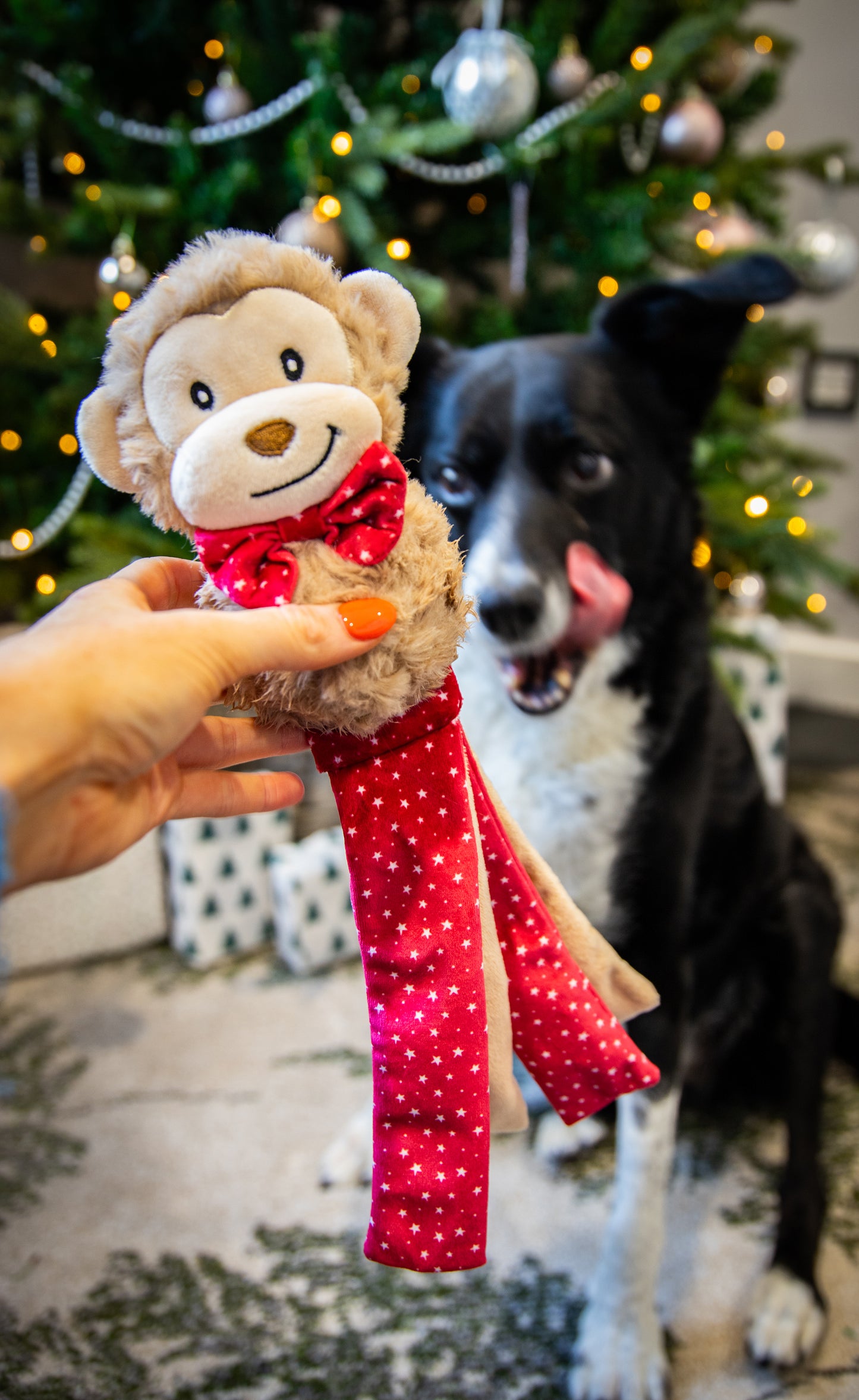 Rosewood Max Monkey | Festive Dog Toy