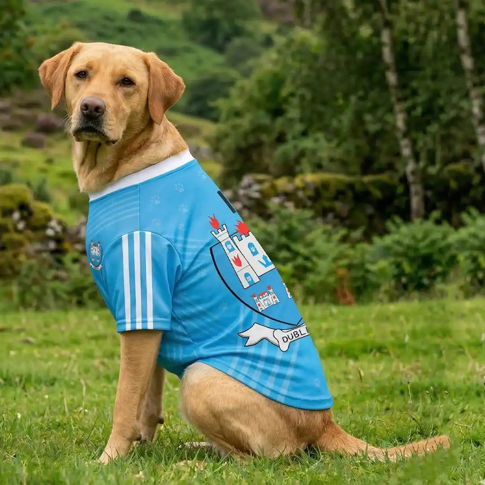 Dublin GAA Dog Jersey County Football Shirt for Dogs
