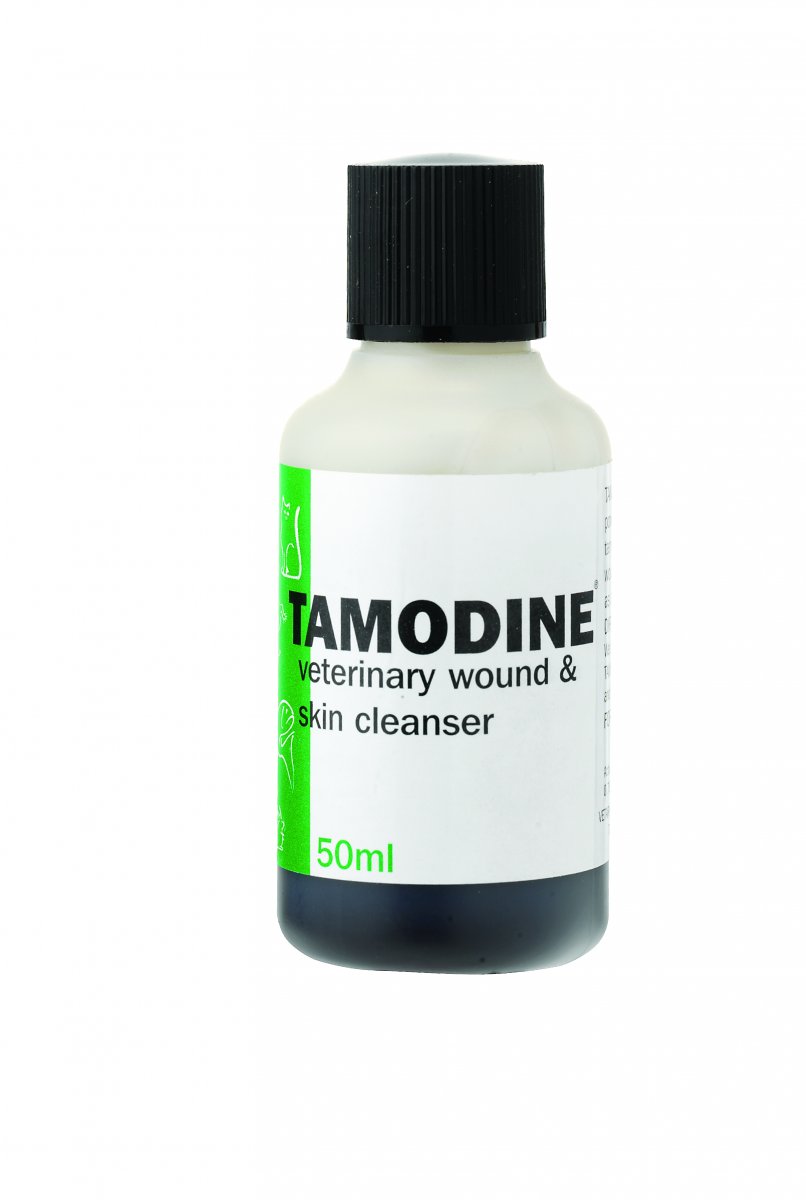 VetArk Tamodine Wound Cleanser 50ml | Antibacterial & Antifungal Povidone-Iodine Ointment