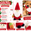 Santa Paws Squeaker Body 🧑‍🎄 Christmas Dog Toy by Happy Pet