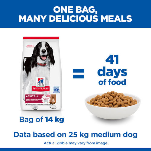Hill's Science Plan Adult Lamb Medium Breed Dry Dog Food