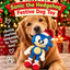 Sonic the Hedgehog® 🦔 Festive Dog Toy by Happy Pet