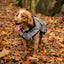 Danish Design 3-in-1 Dog Coat - Light Reflective Grey | Versatile All Weather Protection for Every Season