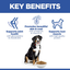 Hill's Science Plan Adult Chicken Large Breed Dry Dog Food