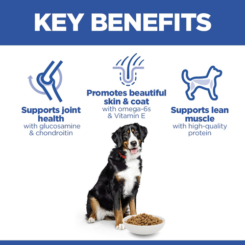 Hill's Science Plan Adult Chicken Large Breed Dry Dog Food