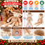 Jumbo Hettie Highland Cow 🐂 Plush Christmas Dog Toy by Happy Pet
