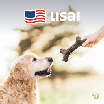 Benebone Maple Infused Stick | Durable Dog Chew Toy