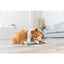 Dog lying on a wooden floor with a blue dog toy in a living room.