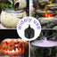Hygger Cool Fog Mister with LED Lighting | Reptile & Amphibian Humidity Raiser