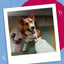 Whirlers Twisted Dog Treats Bacon & Cheese Flavour