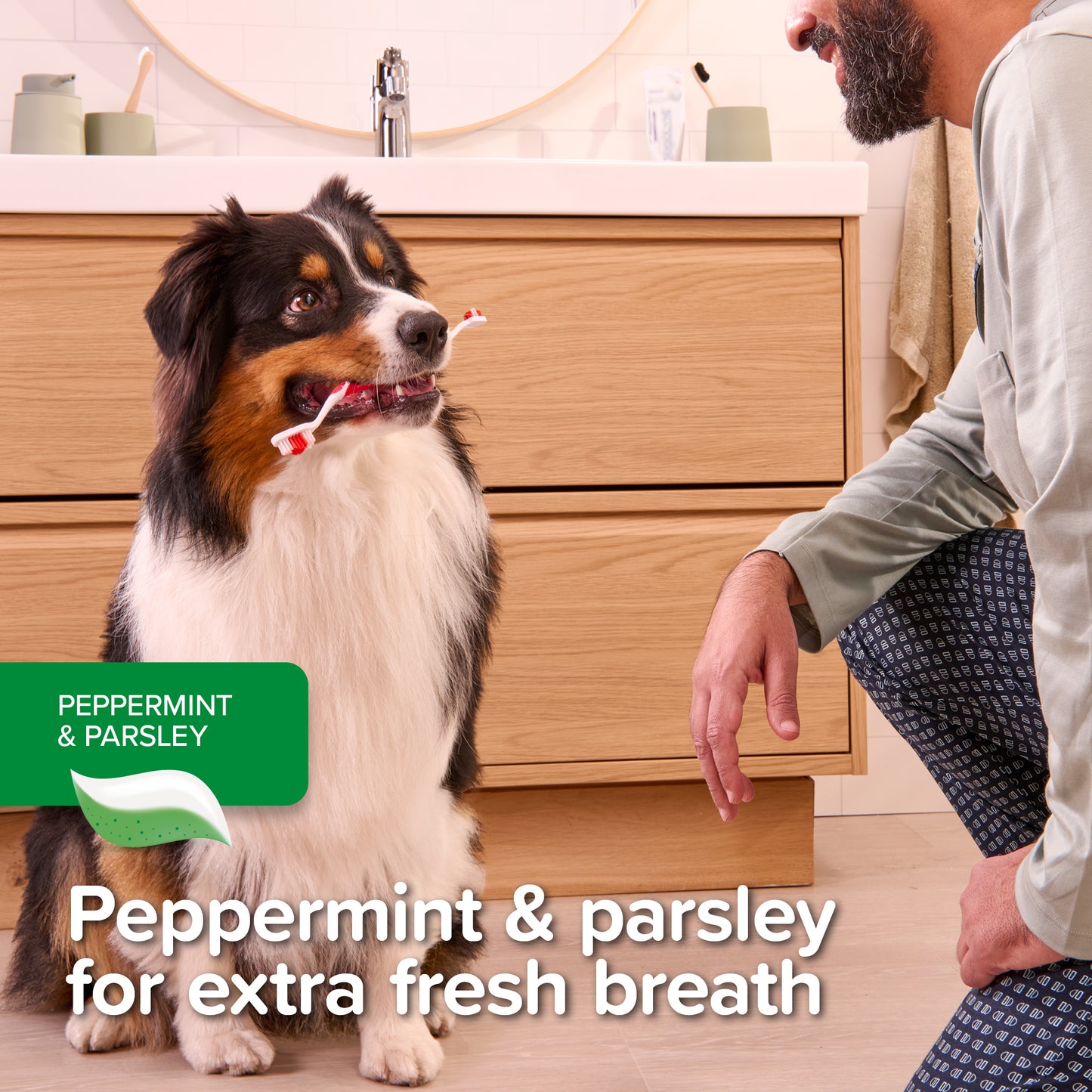 Beaphar Fresh Breath Toothpaste 🌿 for Dogs & Cats | Peppermint Oil, Parsley & Enzymes 100g