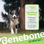 Benebone Maple Infused Stick | Durable Dog Chew Toy