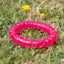 BioSafe | Germ Safe Puppy Ring Dog Toy