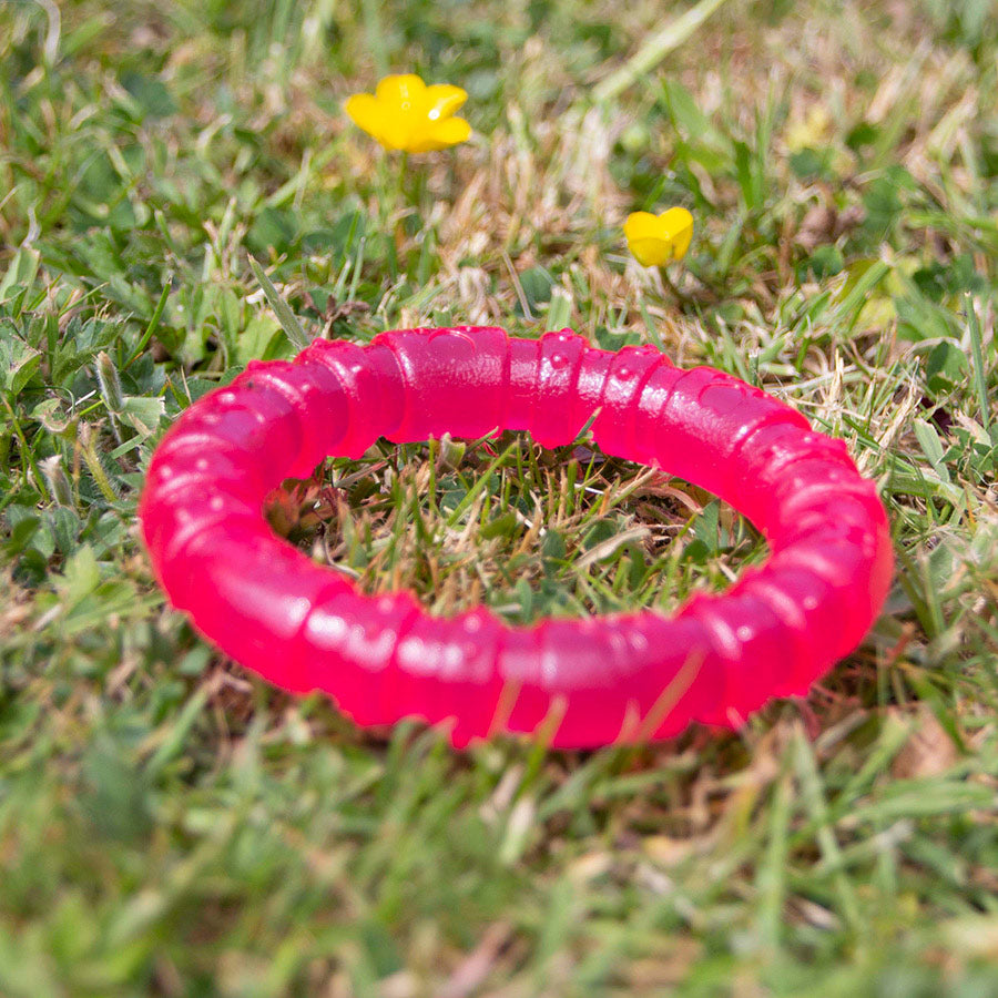 BioSafe | Germ Safe Puppy Ring Dog Toy