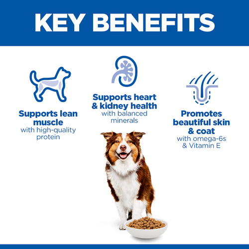 Hill's Science Plan Mature Chicken Medium Breed Dry Food for Senior Dogs