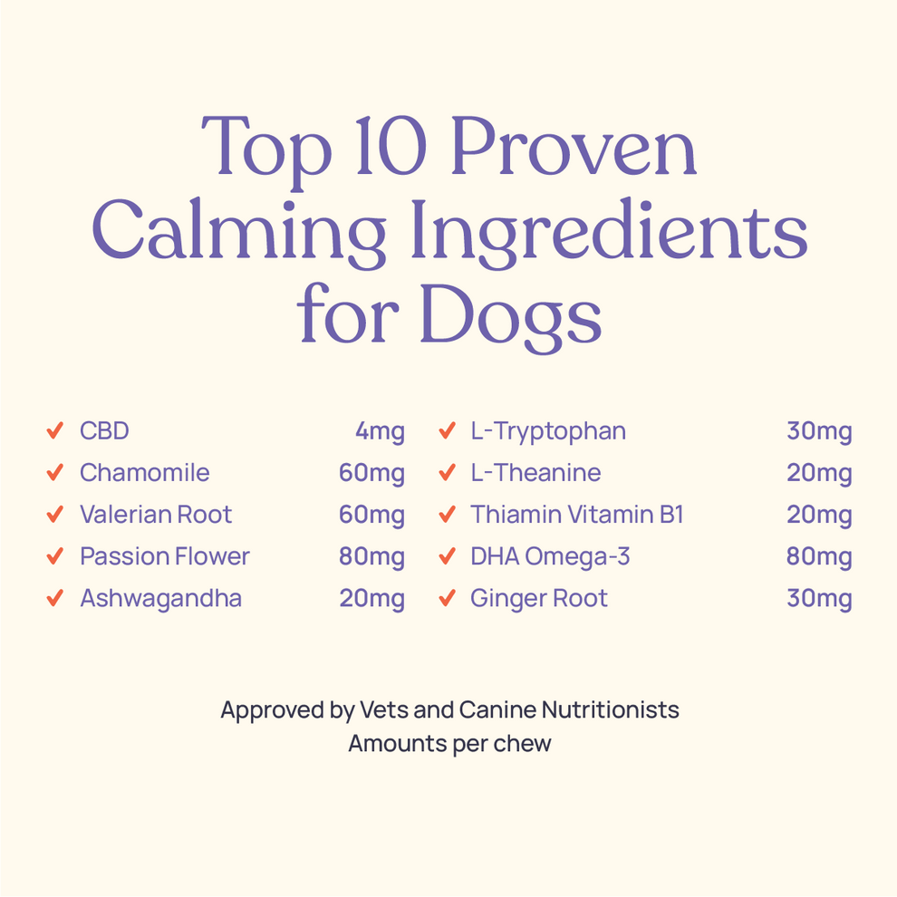 Barkt Calming Supplements for Dogs | Natural Remedy (was Vixen)