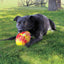 KONG Flexball Sport Football | Dog Outdoor Toy