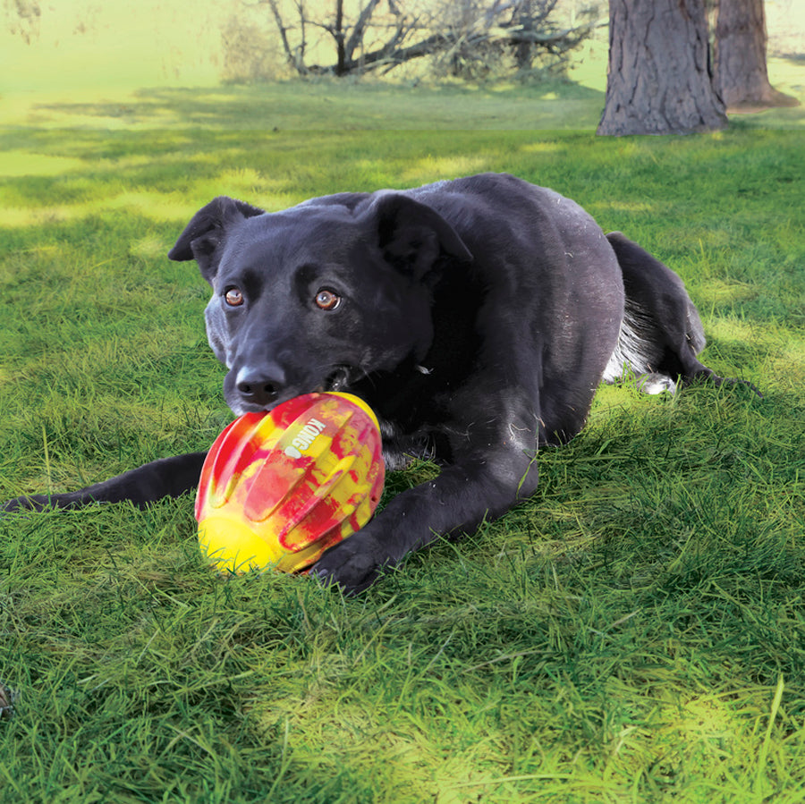 KONG Flexball Sport Football | Dog Outdoor Toy
