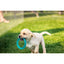 BioSafe | Germ Safe Puppy Ring Dog Toy