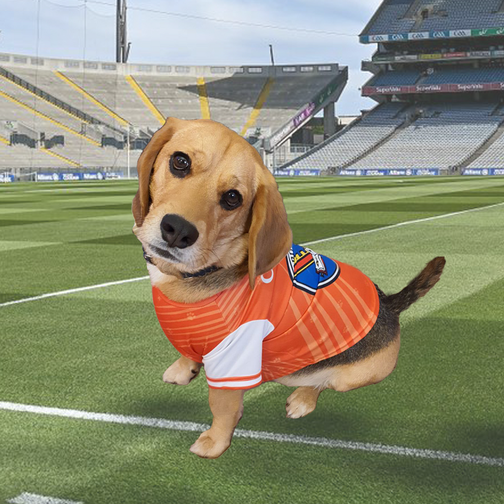 Armagh GAA Dog Jersey County Football Shirt for Dogs