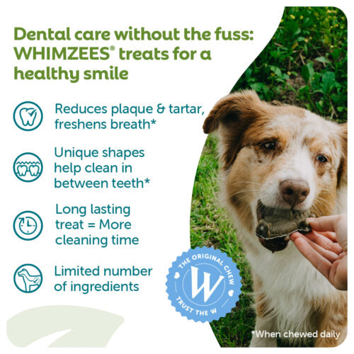 Whimzees Hedgehog Natural Veggie Dental Chew