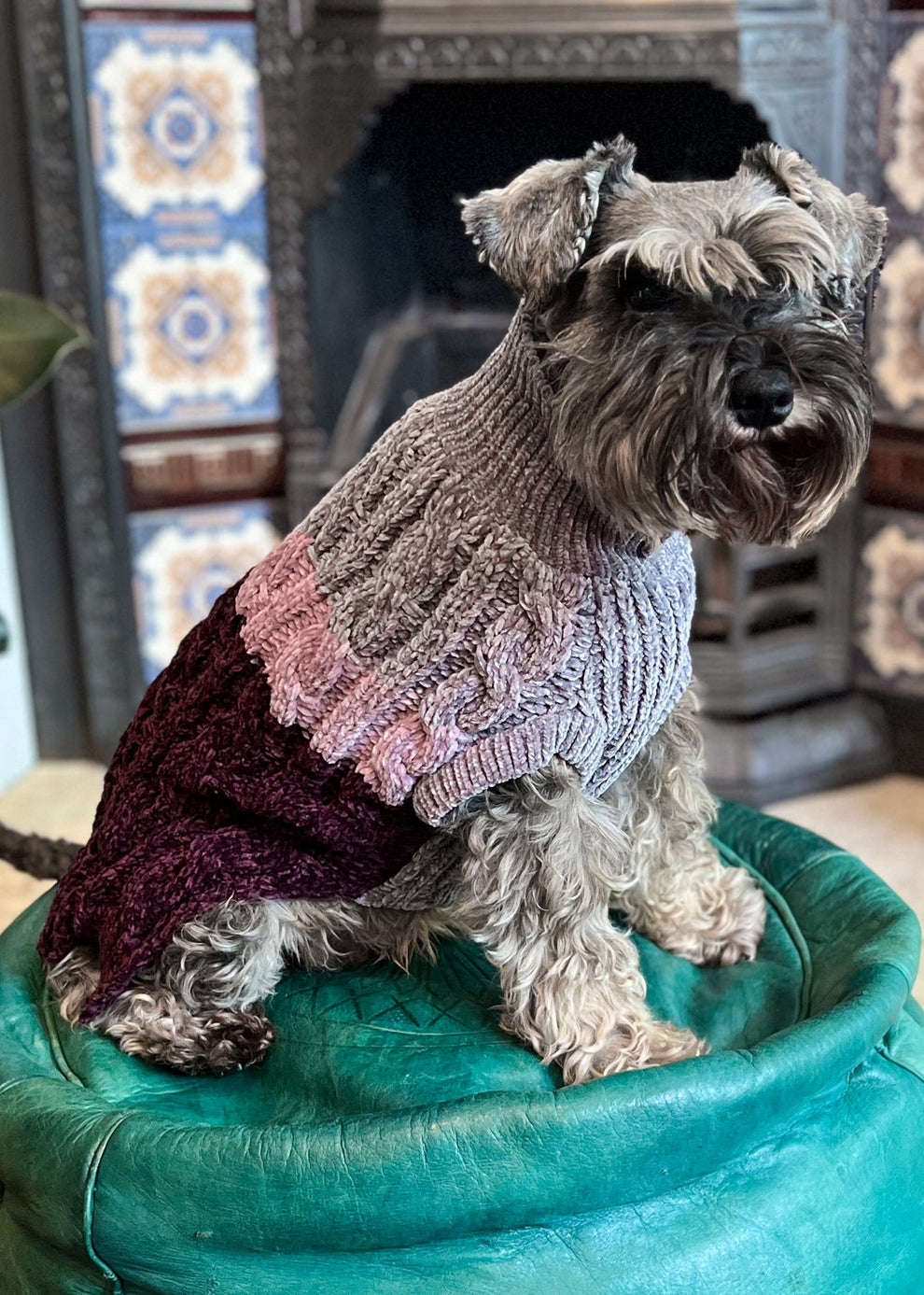 Dog wearing a knitted sweater sitting on a teal cushion with a decorative tiled wall in the background.