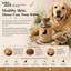 Wild&Seed Herbs No. 2 FellSchein | Natural Skin & Coat Support for Dogs