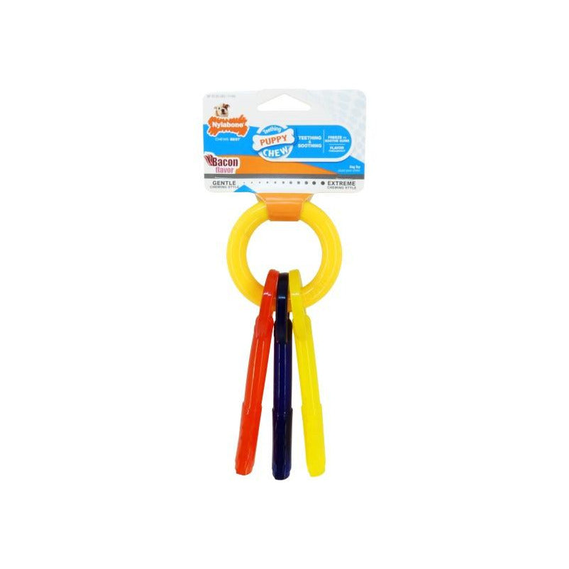 Dog toy with colorful keys on a ring on a white background