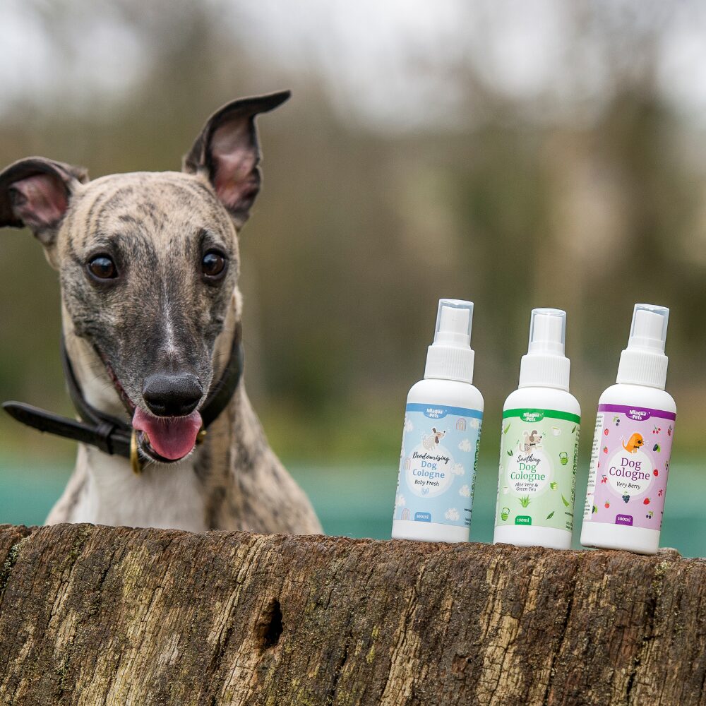 Dog with selection of cologne sprays