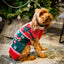 Dog Christmas jumper