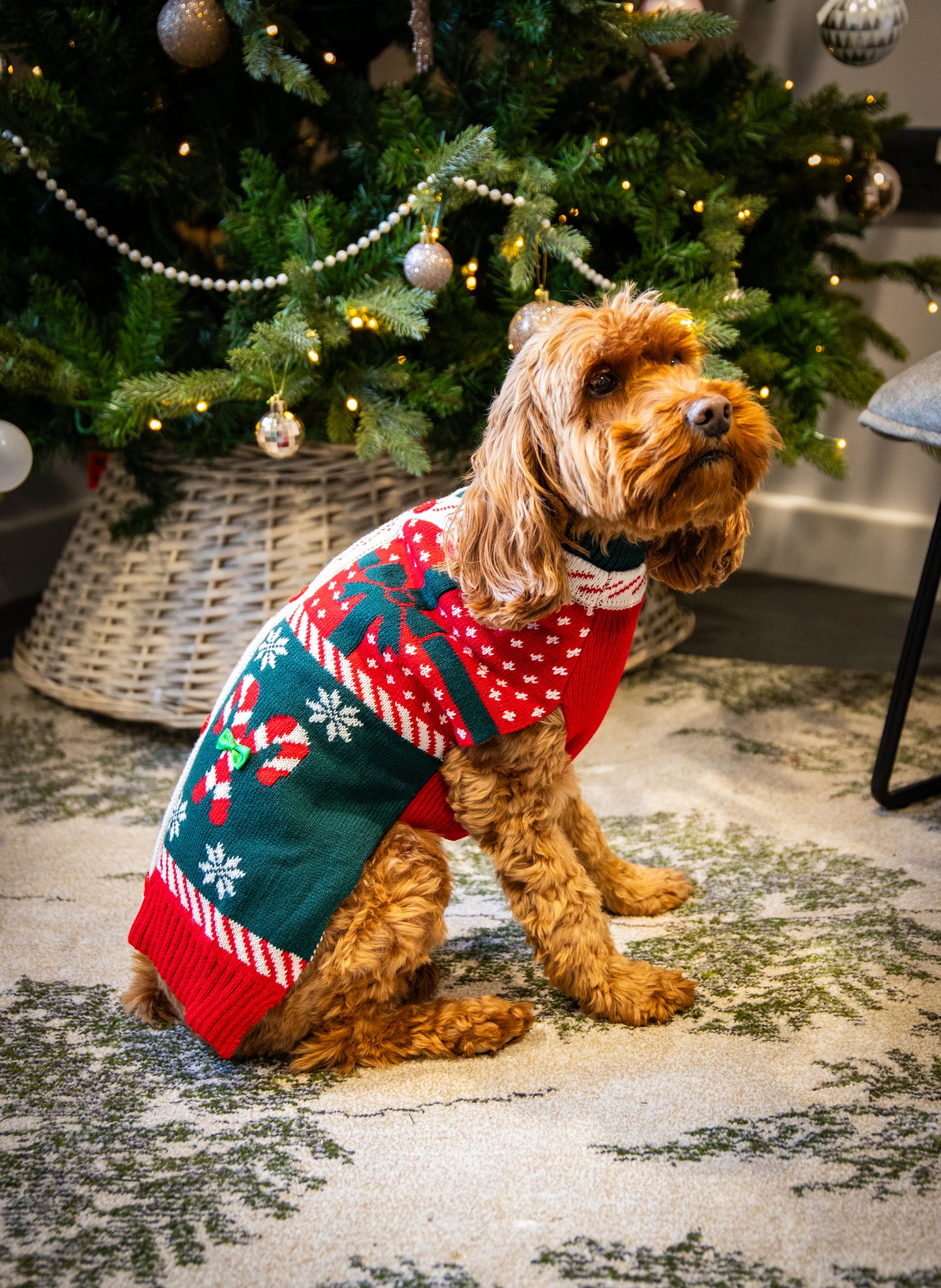 Dog Christmas jumper