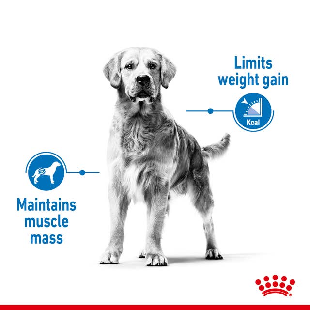 Royal Canin Medium Light 🐕 Size Health Nutrition Dry Dog Food