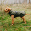 Danish Design 3-in-1 Dog Coat - Olive | Versatile All Weather Protection for Every Season