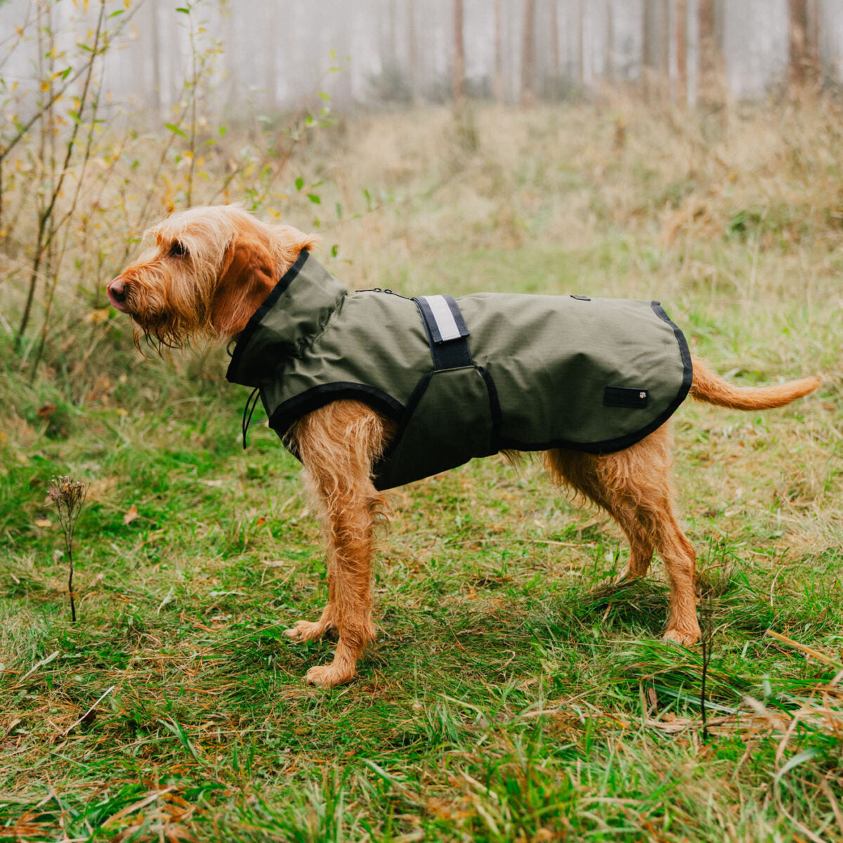 Danish Design 3-in-1 Dog Coat - Olive | Versatile All Weather Protection for Every Season