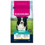 Eukanuba dog food package with a black and white dog on a grassy background