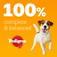 Pedigree Mixed Selection In Gravy Wet Dog Food Pouches 40 x 100g