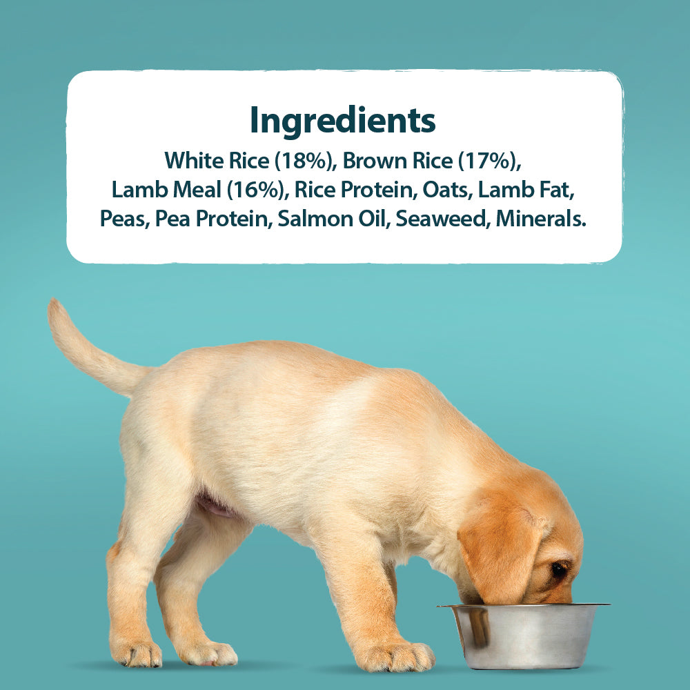 Burns Puppy Lamb & Brown Rice 🐑 Original Holistic Gluten Free Dry Dog Food