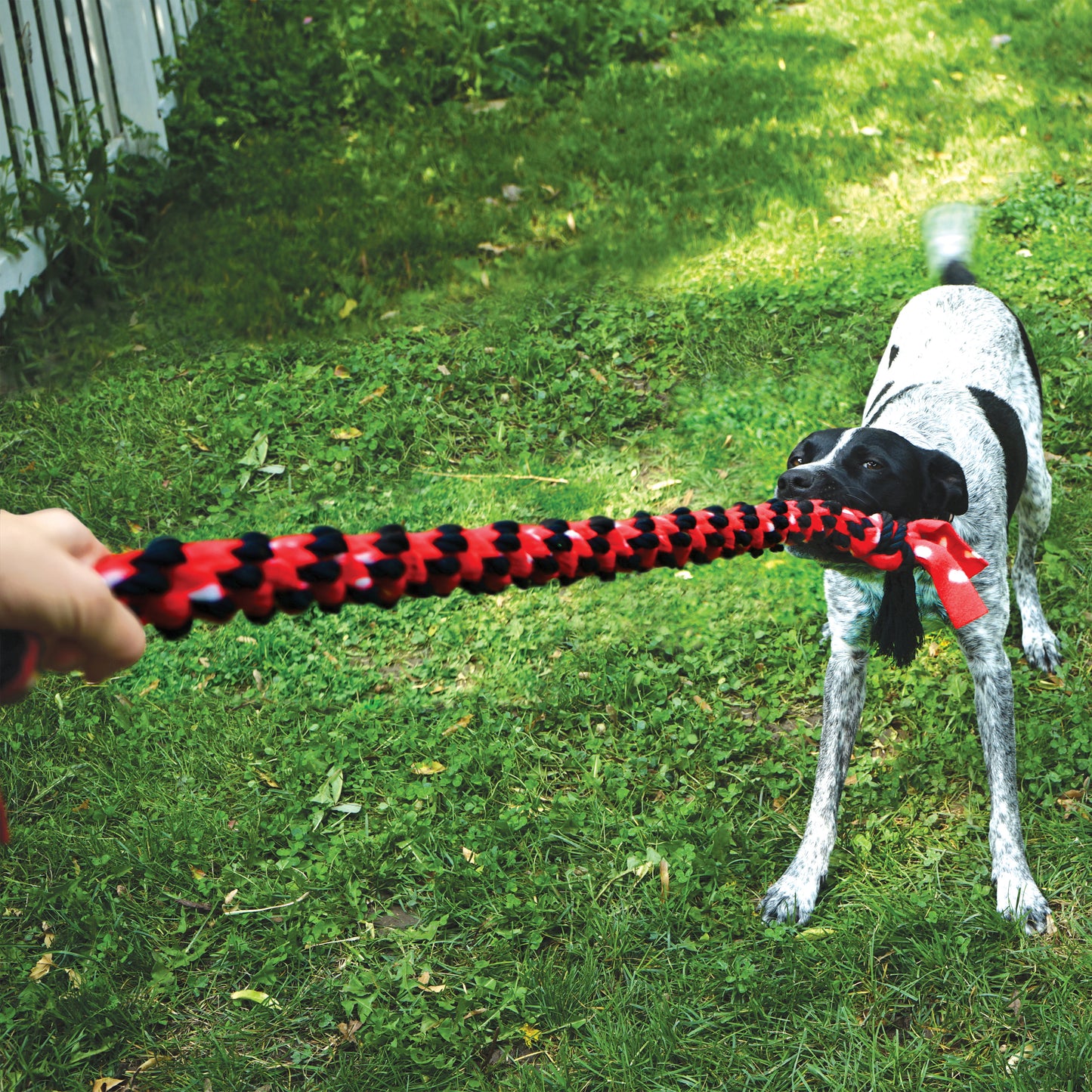 KONG | Signature Rope | Big Dual Knot Dog Toy 22.5"