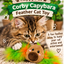 Corby Capybara Feather 🦫🪶 Christmas Cat Toy by Happy Pet