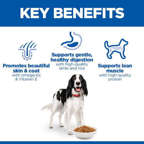 Hill's Science Plan Adult Lamb Medium Breed Dry Dog Food