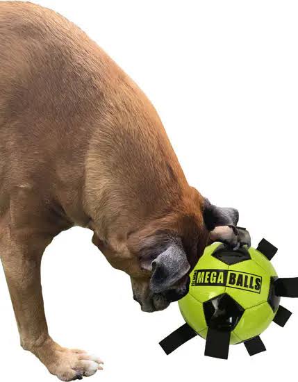 Dog playing with a green and black 'Mega Balls' toy on a white background