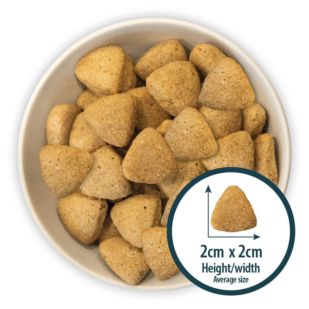 Burns Original Large Breed Chicken & Brown Rice Adult 🐔 Holistic Gluten Free Dog Food