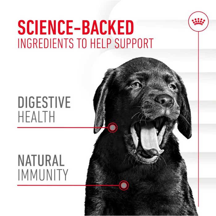 Royal Canin Immunity & Digestion Puppy Chews Functional Dog Treats - 100g